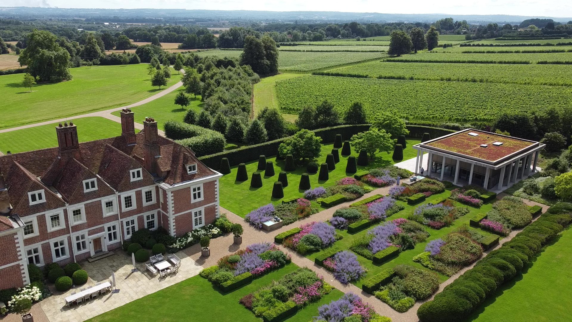 Yotescourt Vines Drone Shot 4