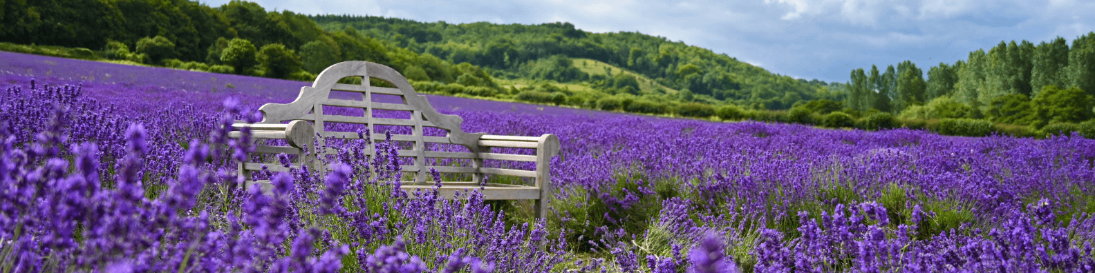 Castle Farm Sevenoaks Banner
