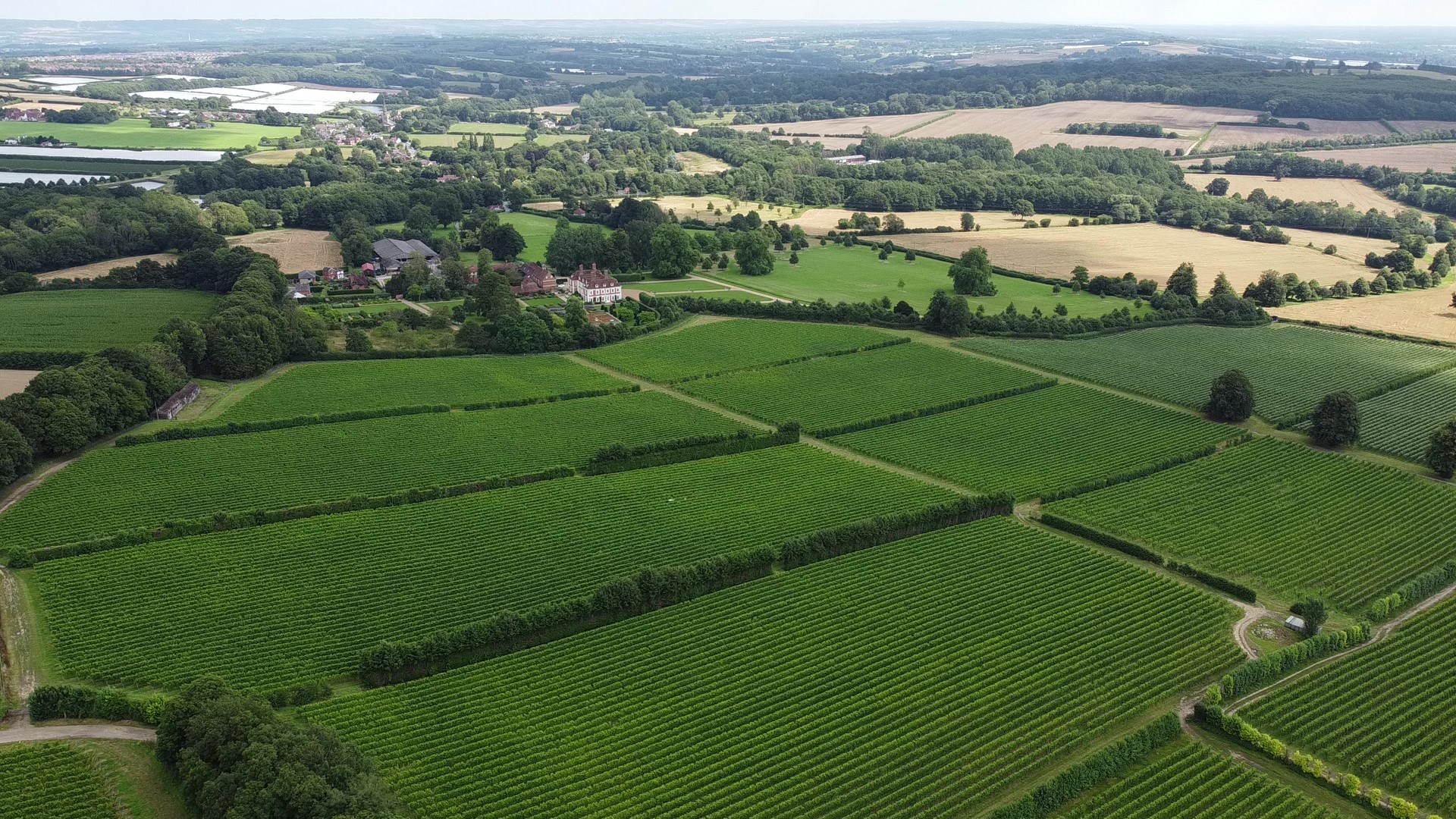 Yotescourt Vines Droneshot 1