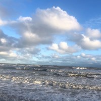 Botany Bay