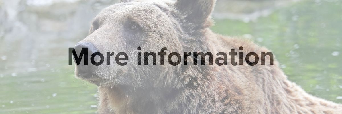 Romney Marsh High Res (2)