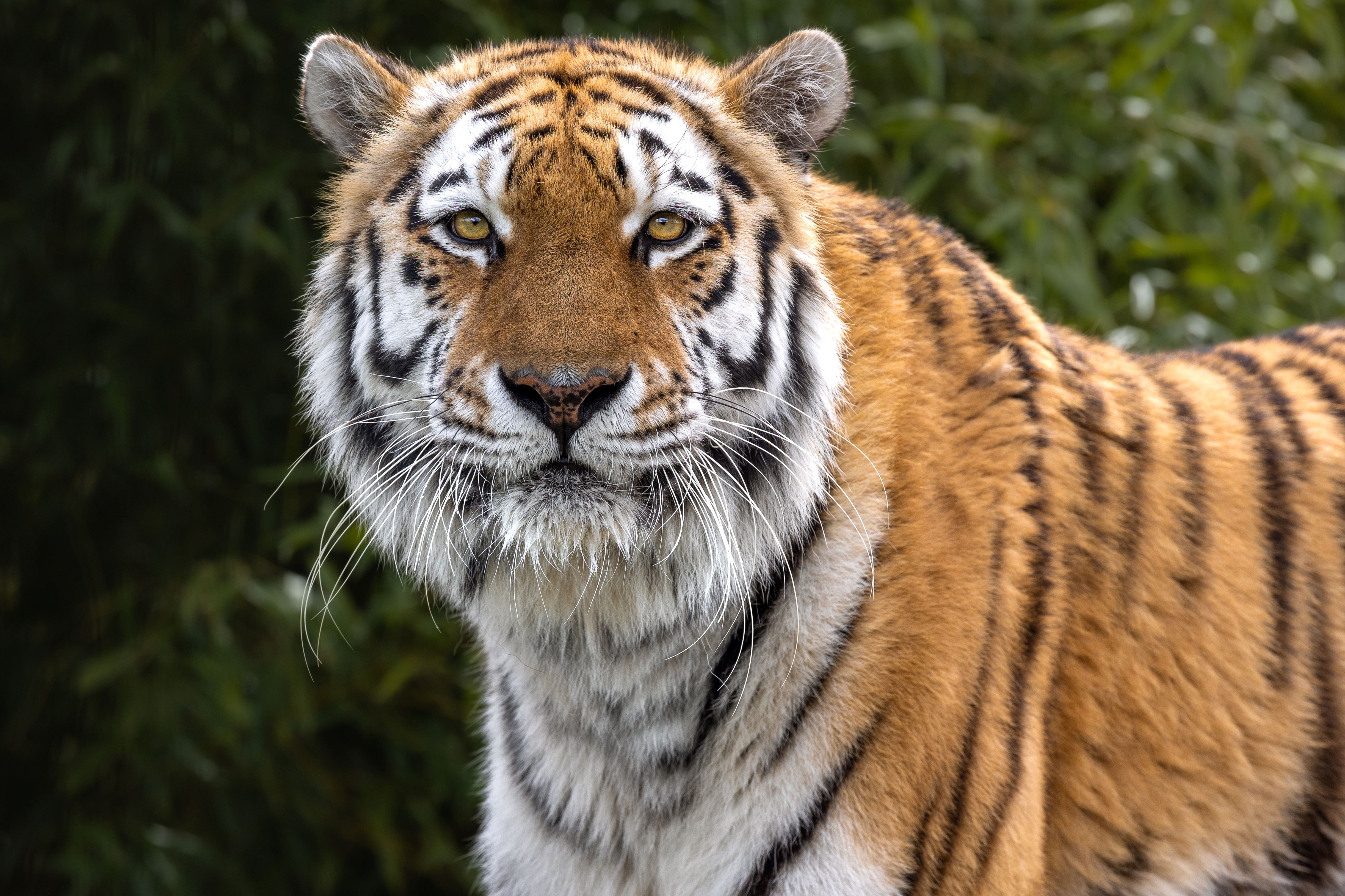 Amasia 4 Jack Valpy.Resized.