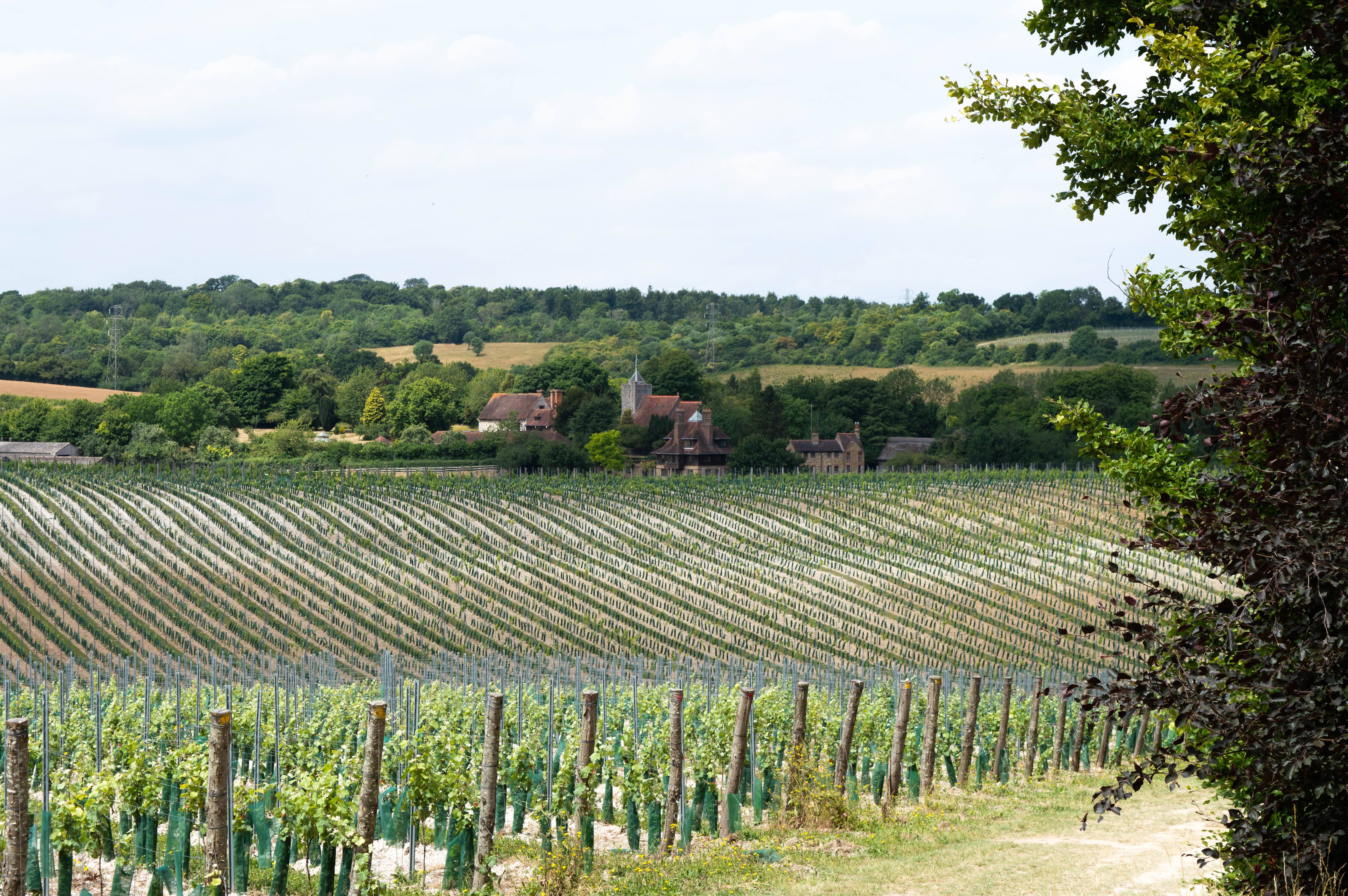 Silverhands Estate 2