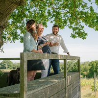 Gusbourne Tour And Tasting