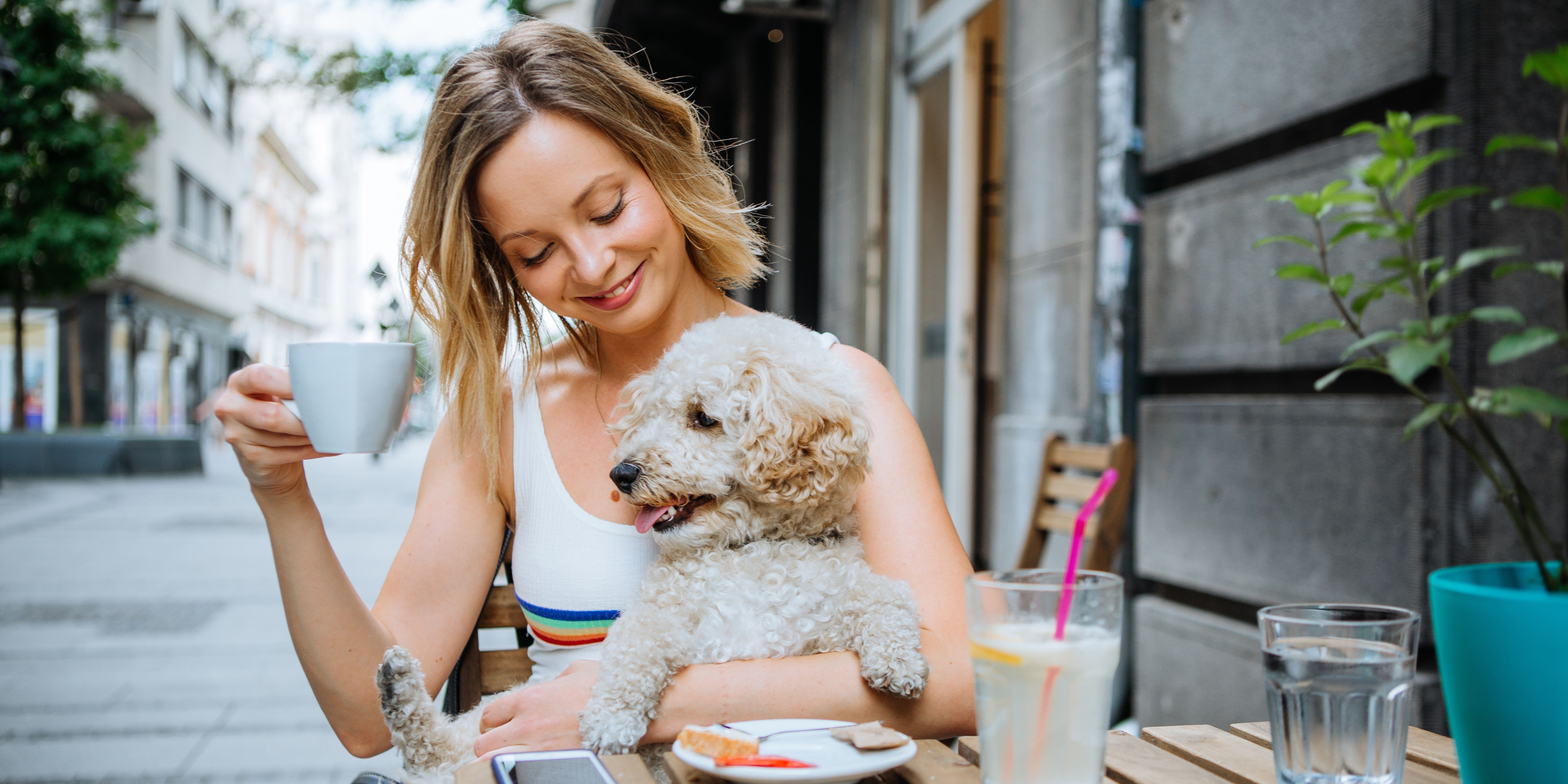 Dog Friendly Restaurnt