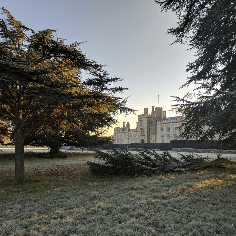 Penshurst Place 800X800