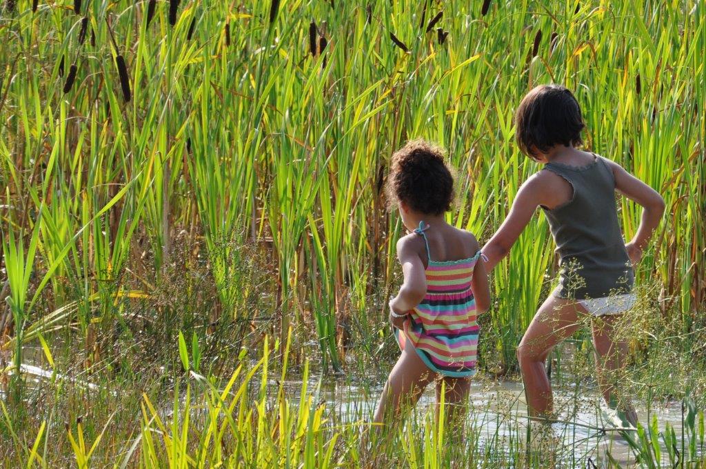 two girls and bulrushes.jpg