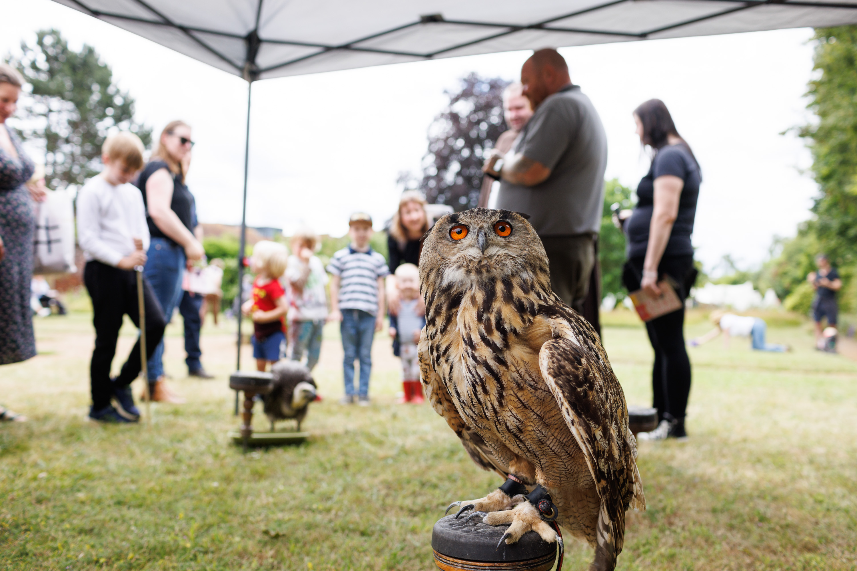 Medieval Pageant 2023 Credit Matt Wilson (104)