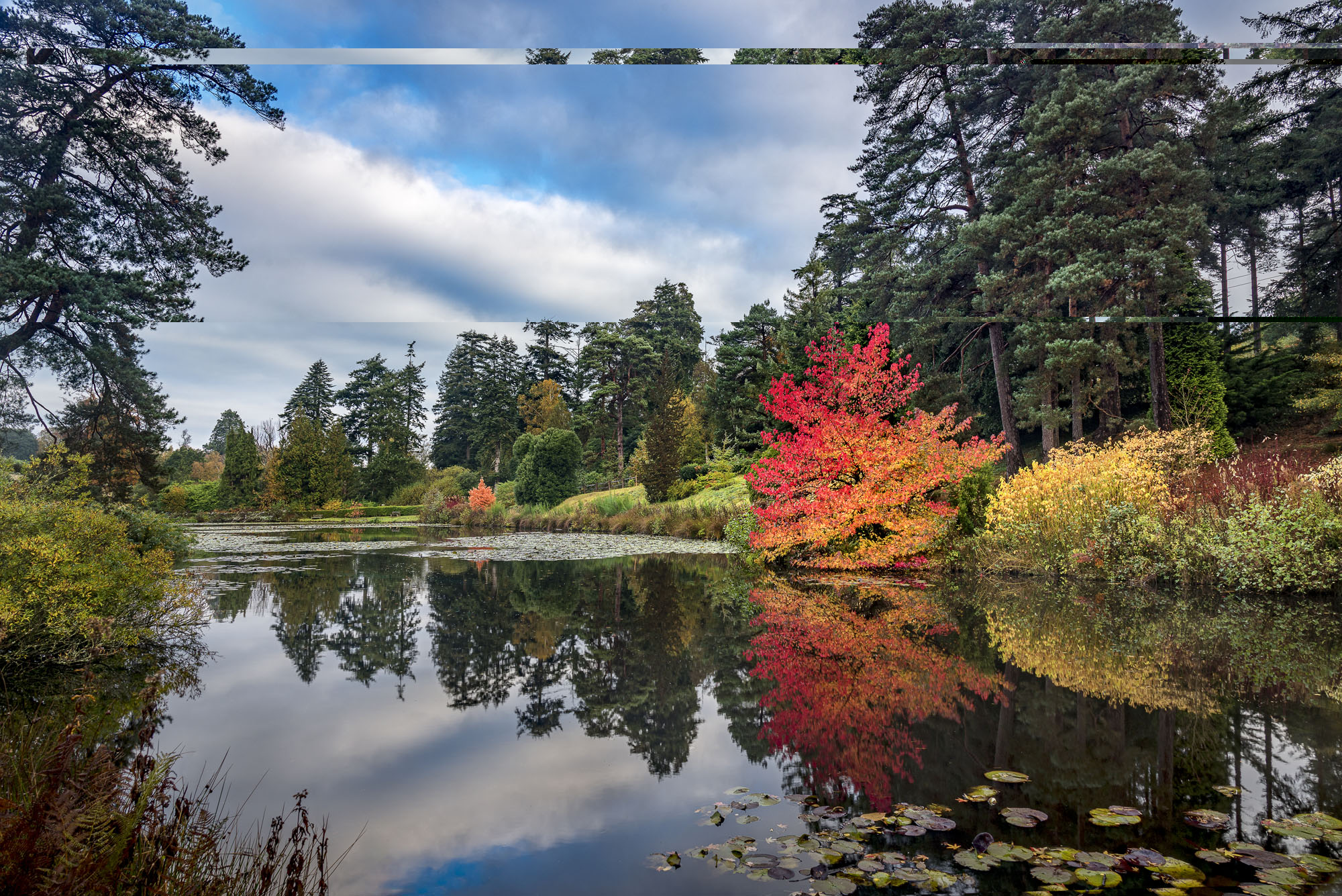 01 Bedgebury Marshals Lake Autumn Colour CREDIT David Jenner