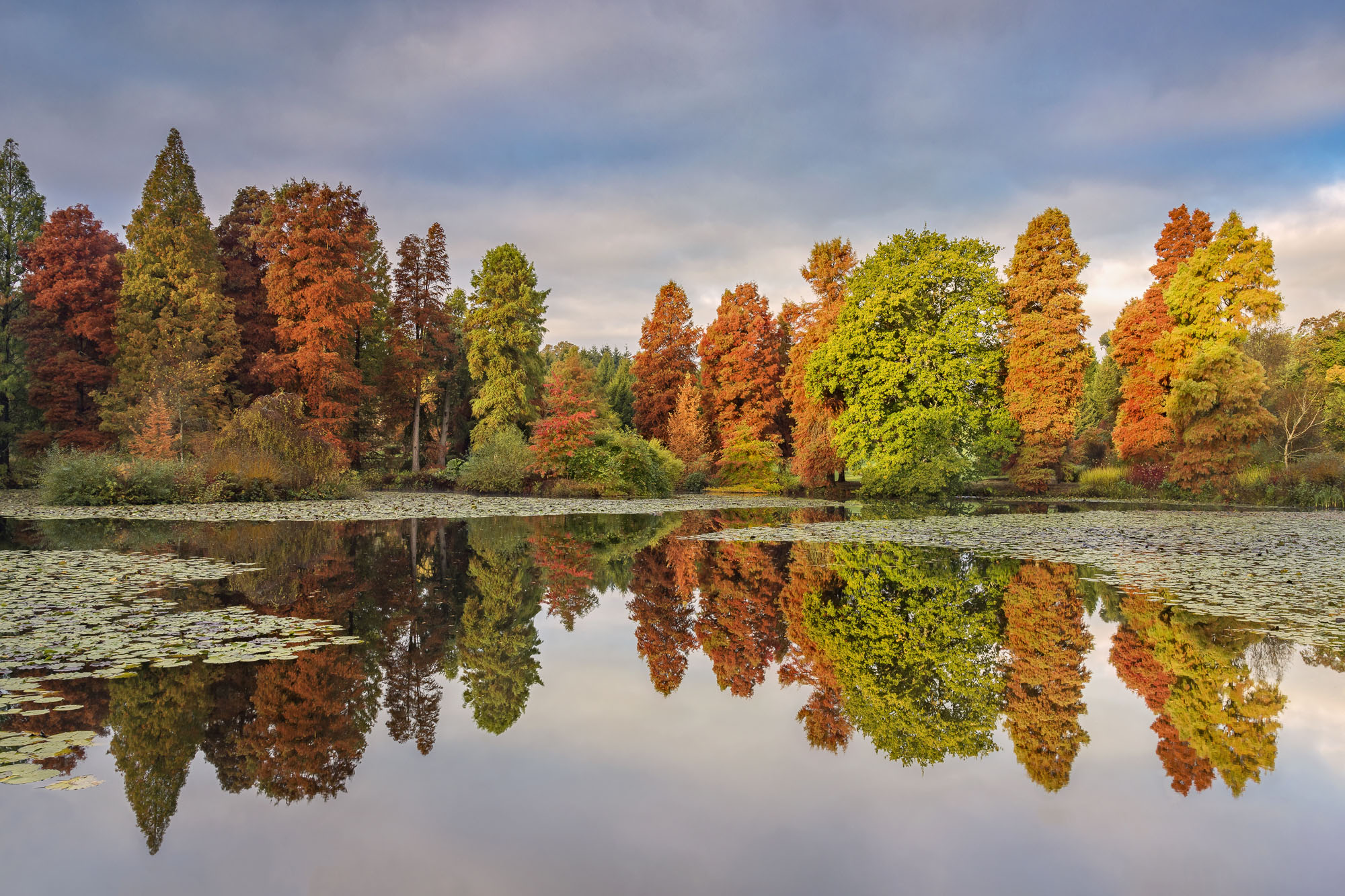 07 Bedgebury Marshals Lake Autumn Colour David Jenner