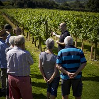 Chapel Down Winery IMG_0198ChapelDown_Guided Tour Vineyard View.jpg