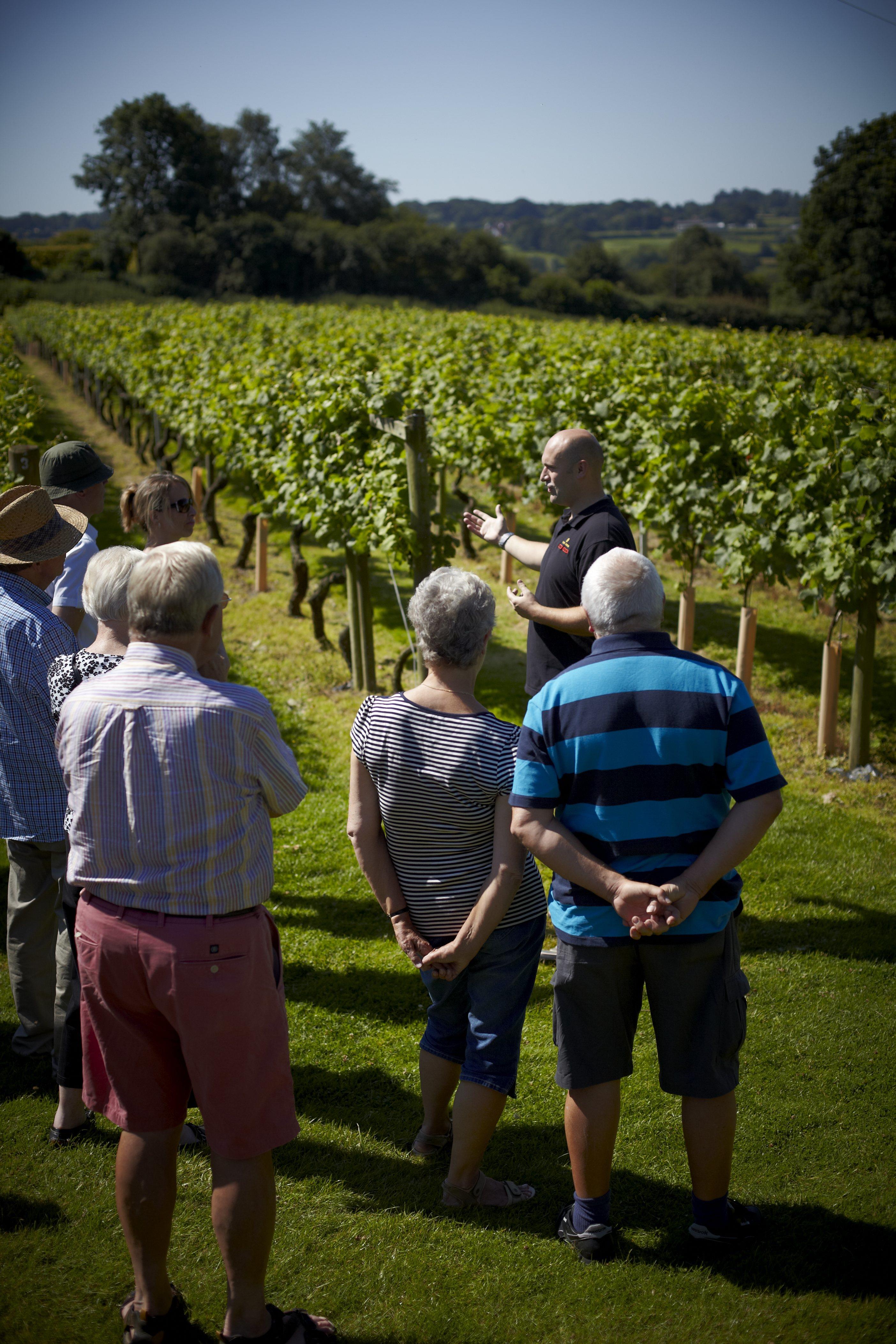 English Wine Week in Kent