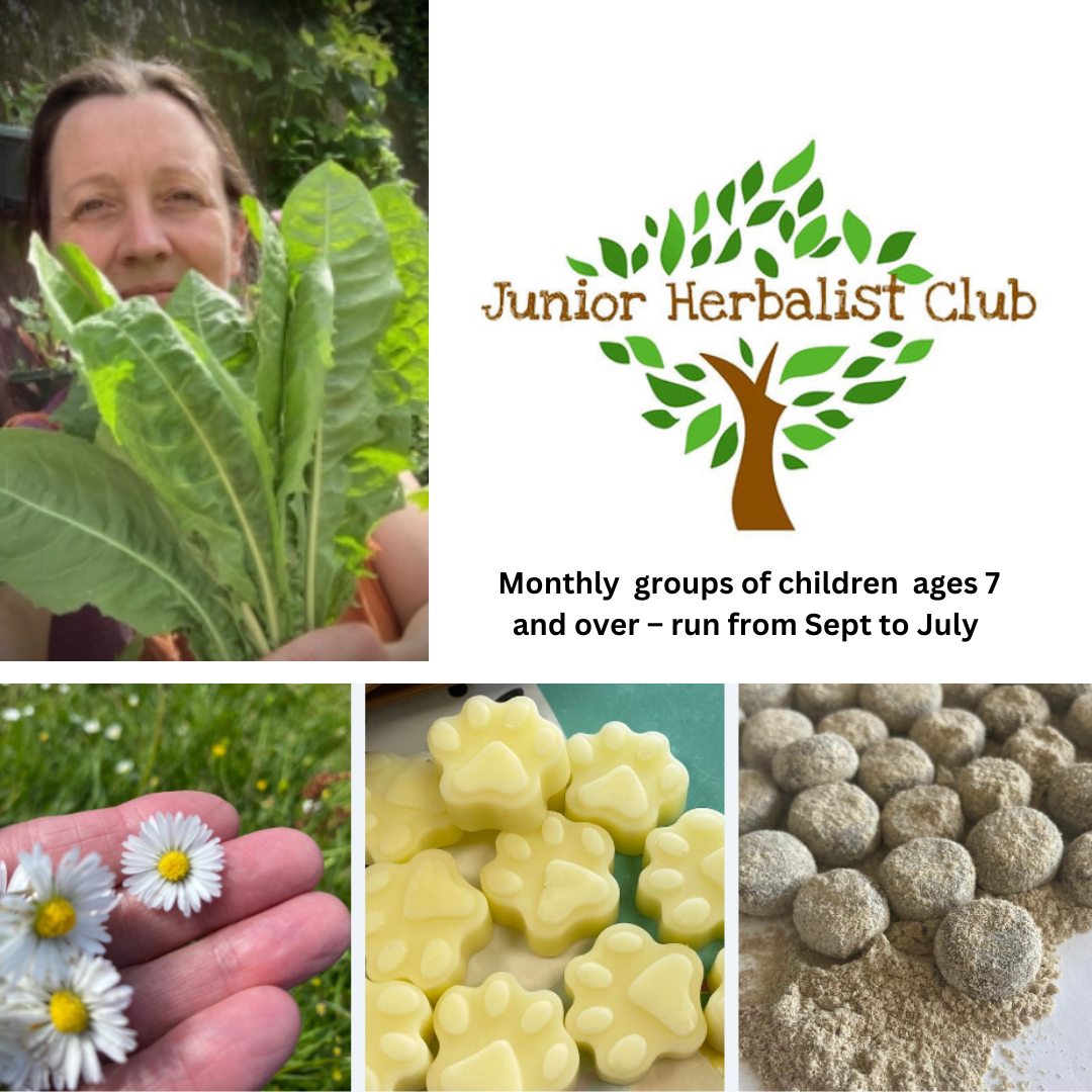 Junior Herbalist Club