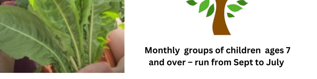 Junior Herbalist Club