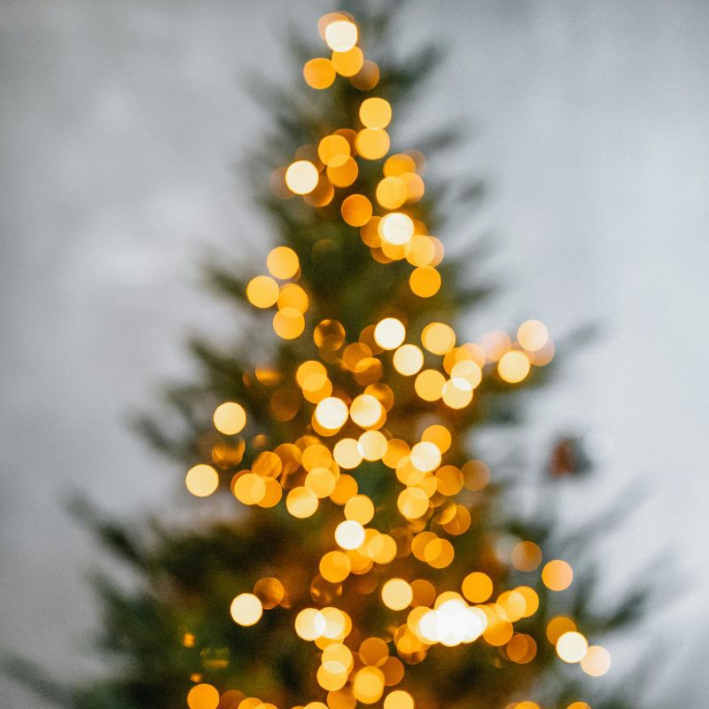 Christmas Tree Blog Size