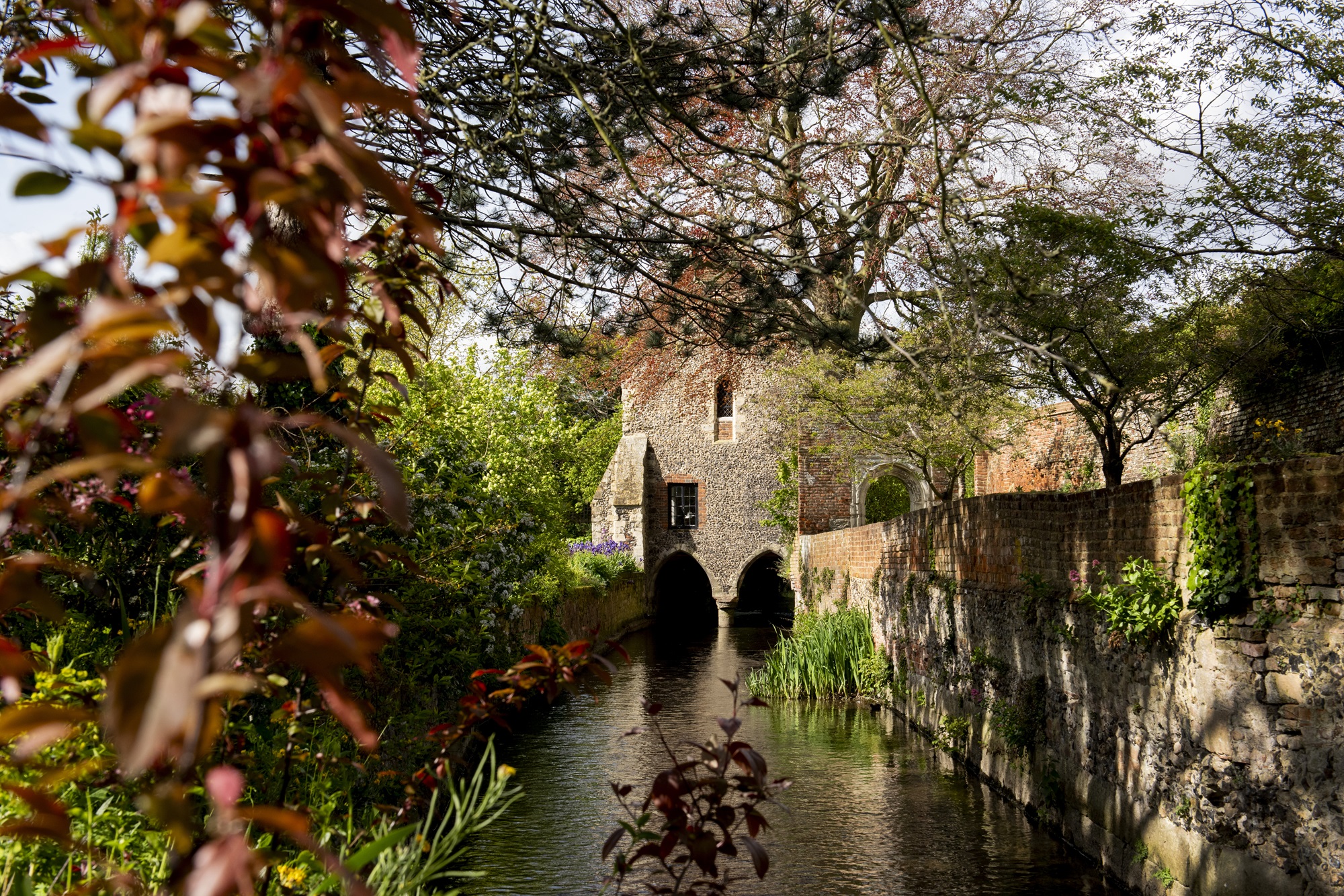 Davidkingphotographer 015 Small