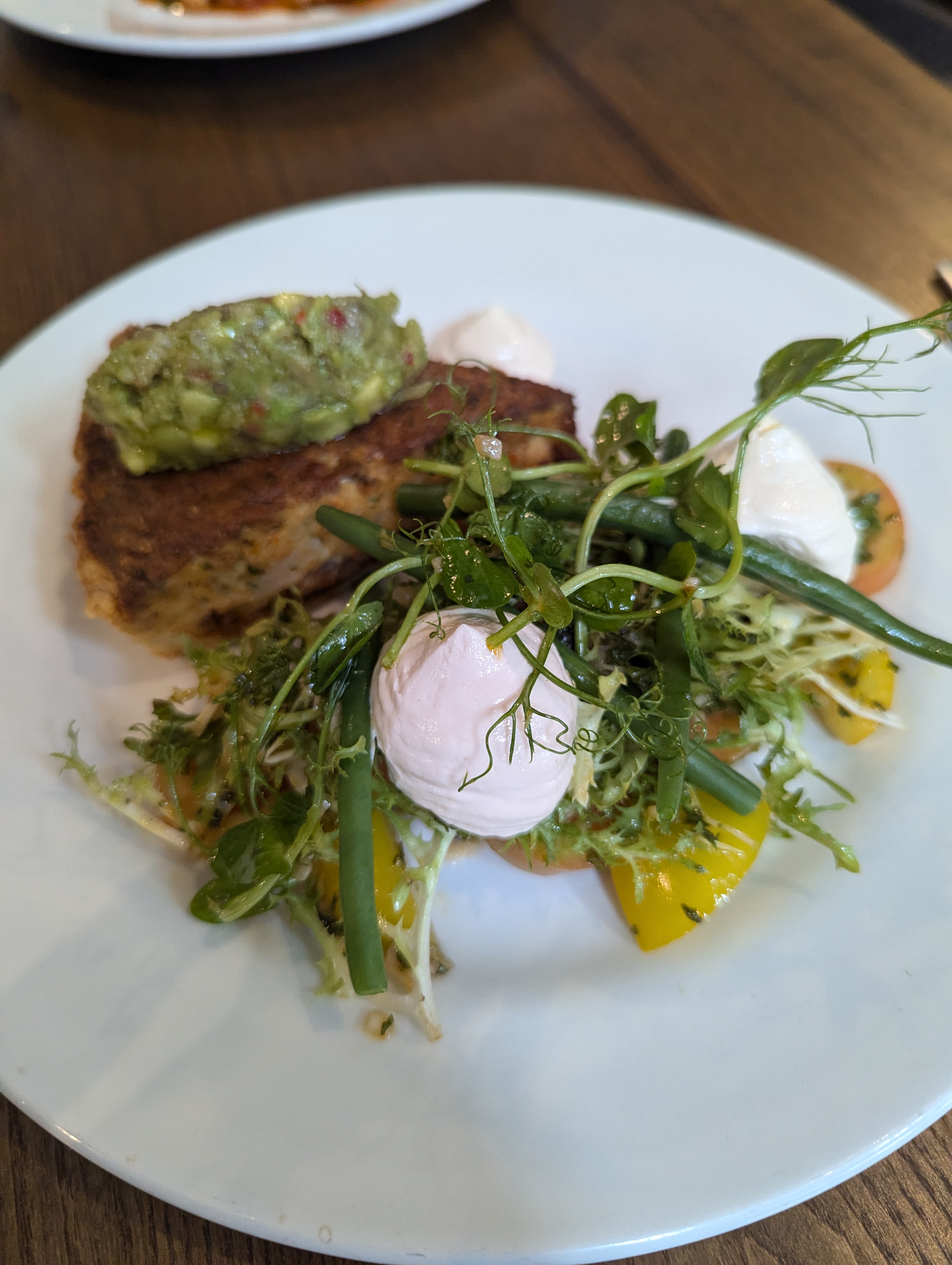 PXL 20240925 124632224