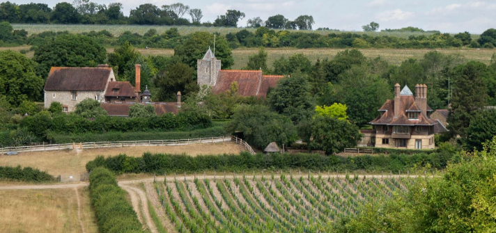 Silverhand2 12042024 1210