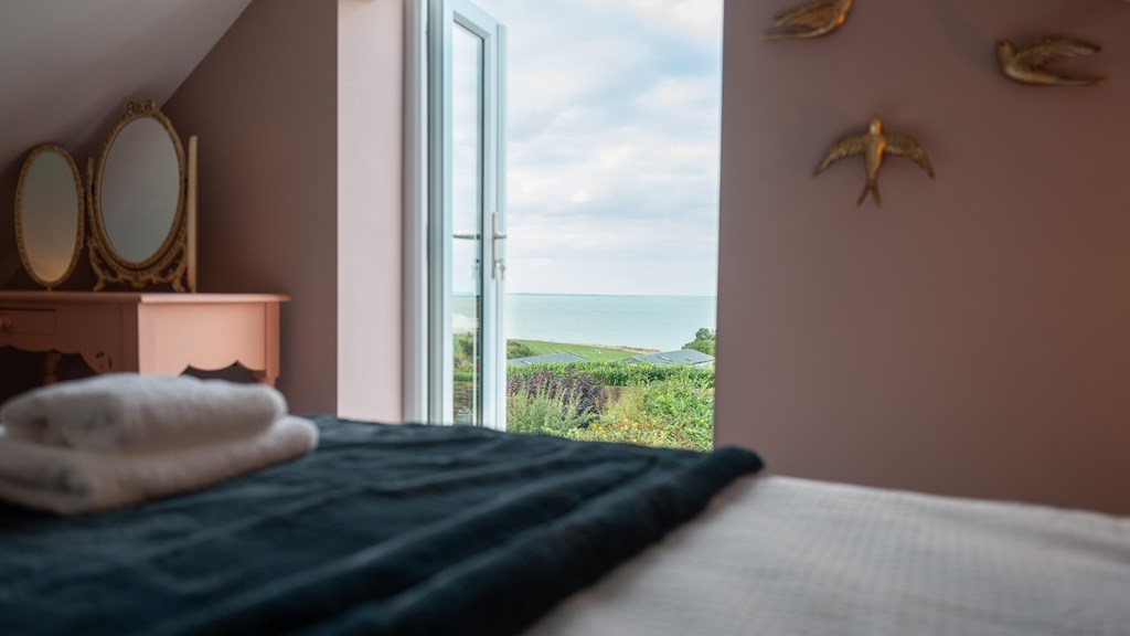 8Be84525 E32b 486F A4b5 1C2eddd1cb93 (1)