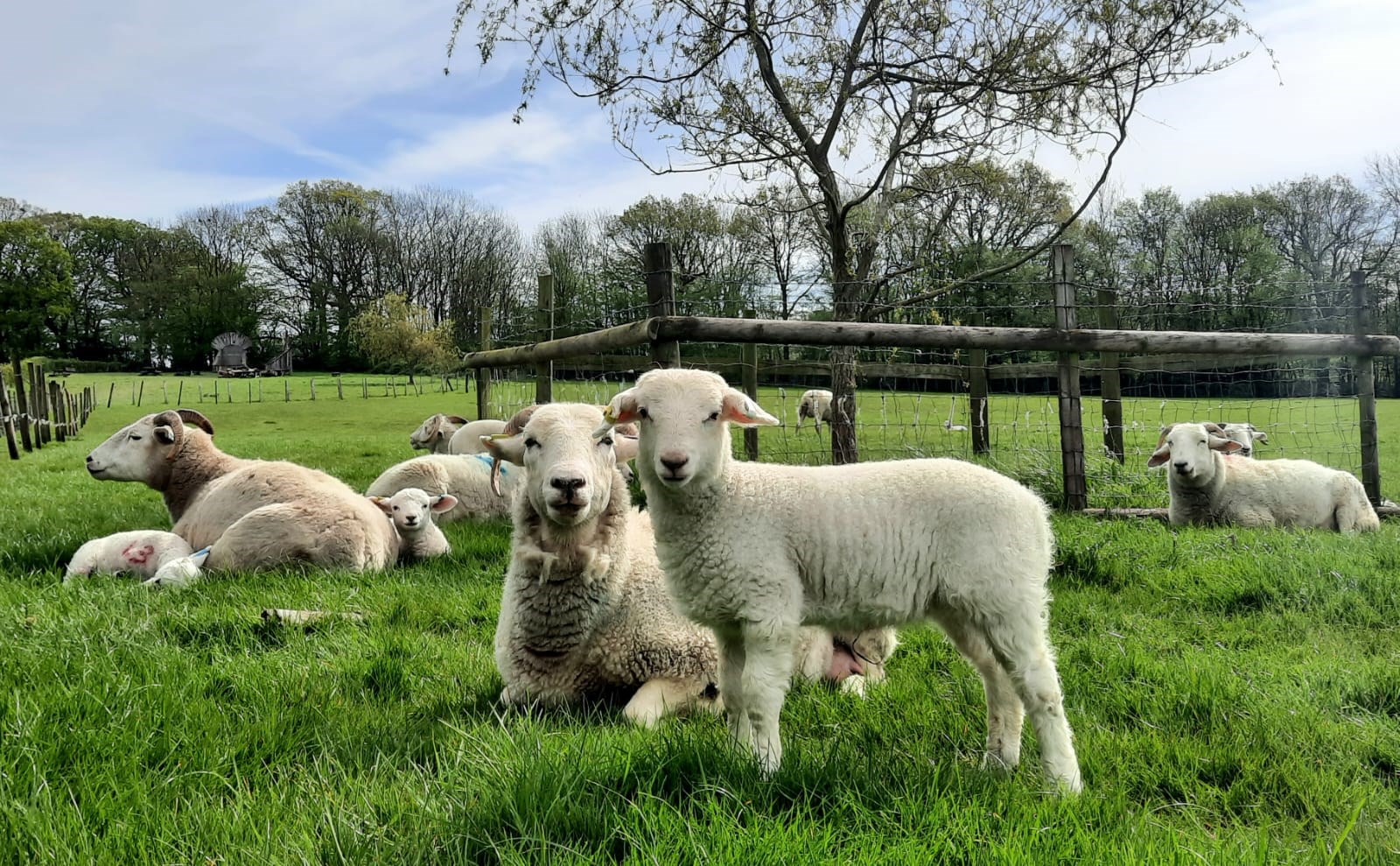 89148896-8298-49e8-b518-b27b2fdfeb6b-WhatsApp Image 2024-04-14 at 15.42.44_24e49ca1.jpg