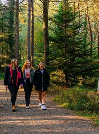 dc27bd0c-8608-4a05-b8d2-f04258ee335c-Walking along trail path (1).jpg