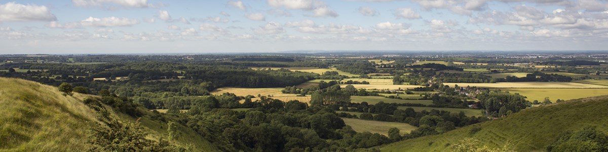 Countryside downs generic abc image.jpg