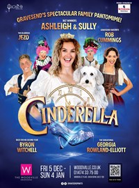 Cinderella 7 Canva