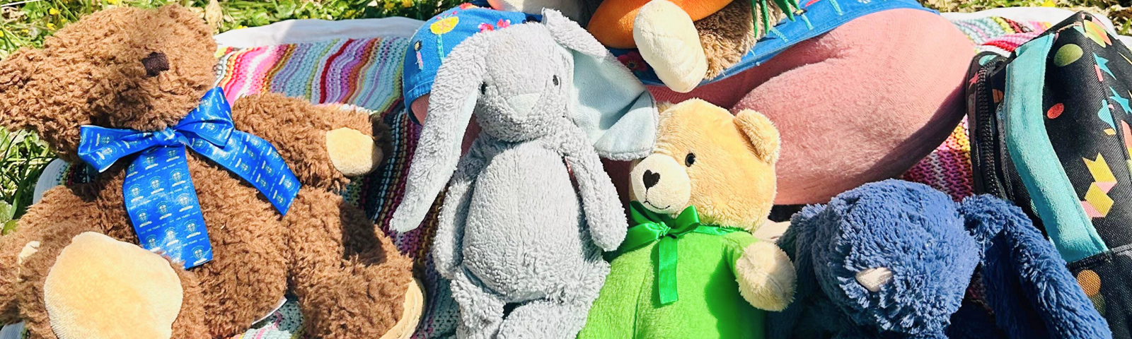 9401e361-83b1-4f9e-bfb3-52dfe2b8c148-Copy of Teddy Bears’ Picnic Adventure social May25.png