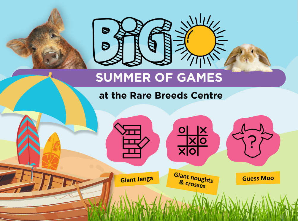 6ff7bbf6-cd08-48ab-85cb-7990722130ab-RBC Big Summer of Fun iNSIDE kENT (200 x 160 mm).png