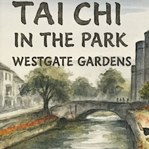 Riverfest Tai Chi