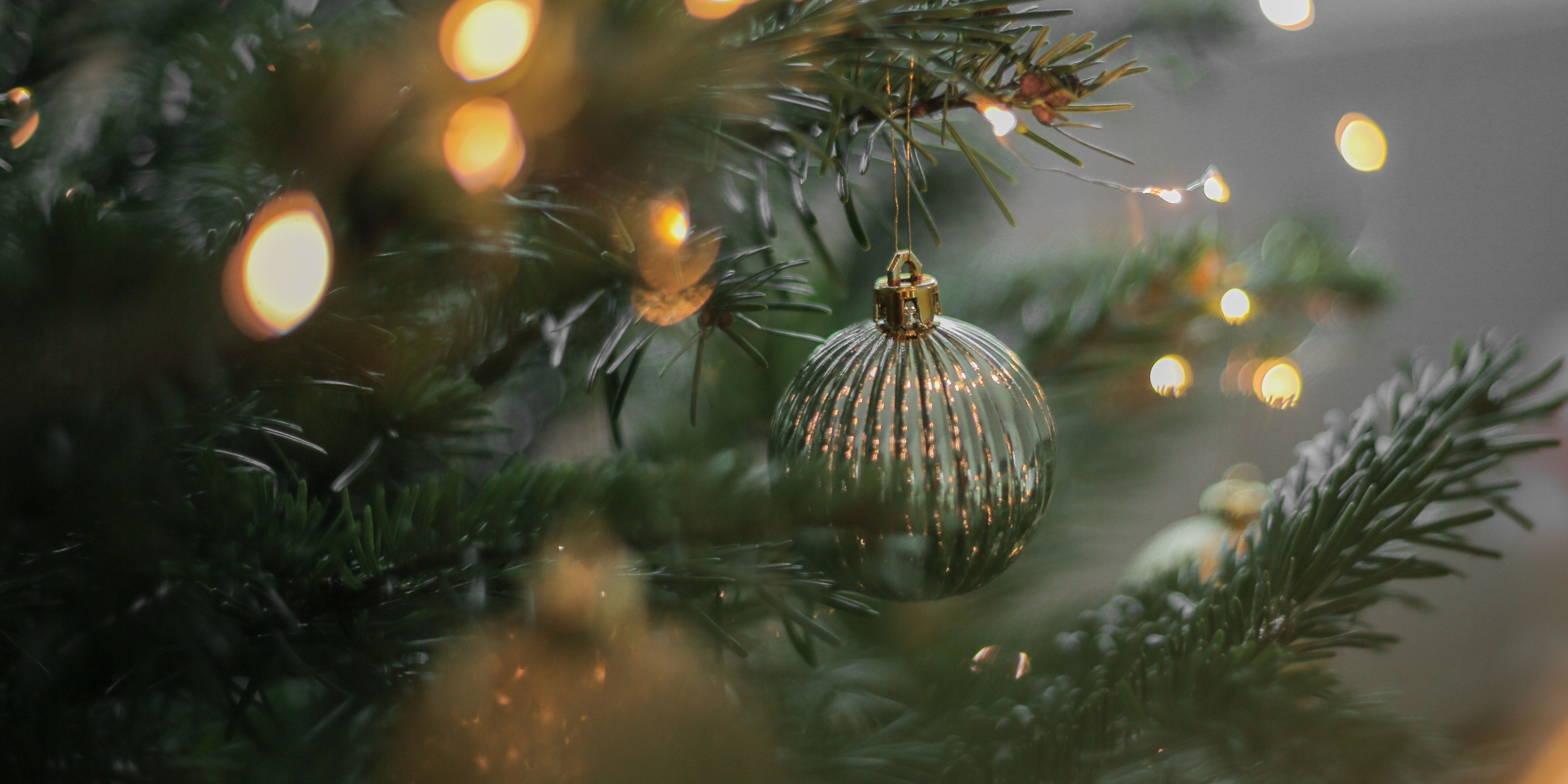 Untitled Design (5) (1)