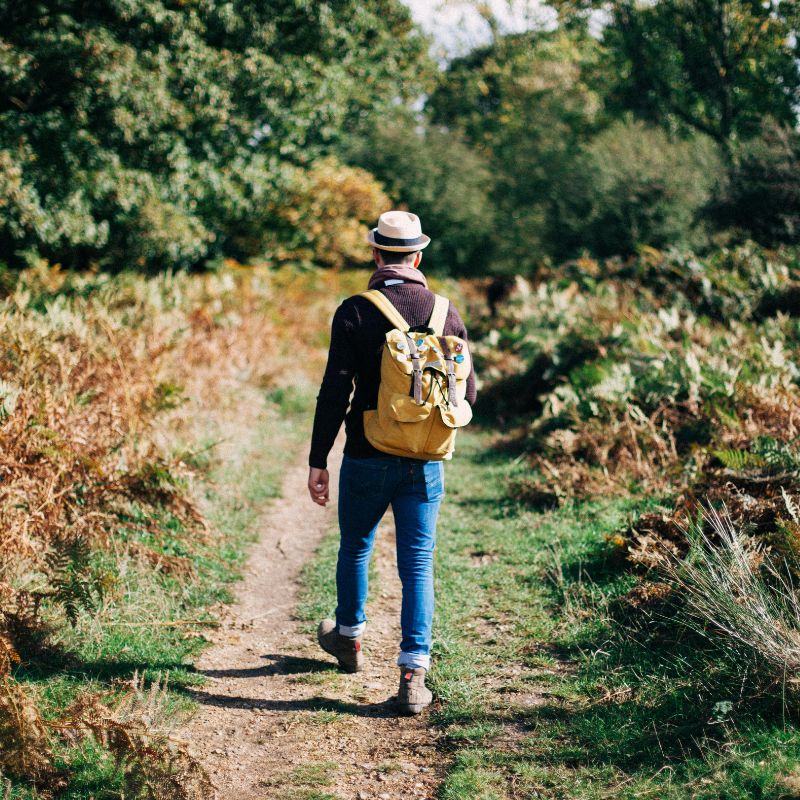 Crab And Winkle 800X800 Pexels