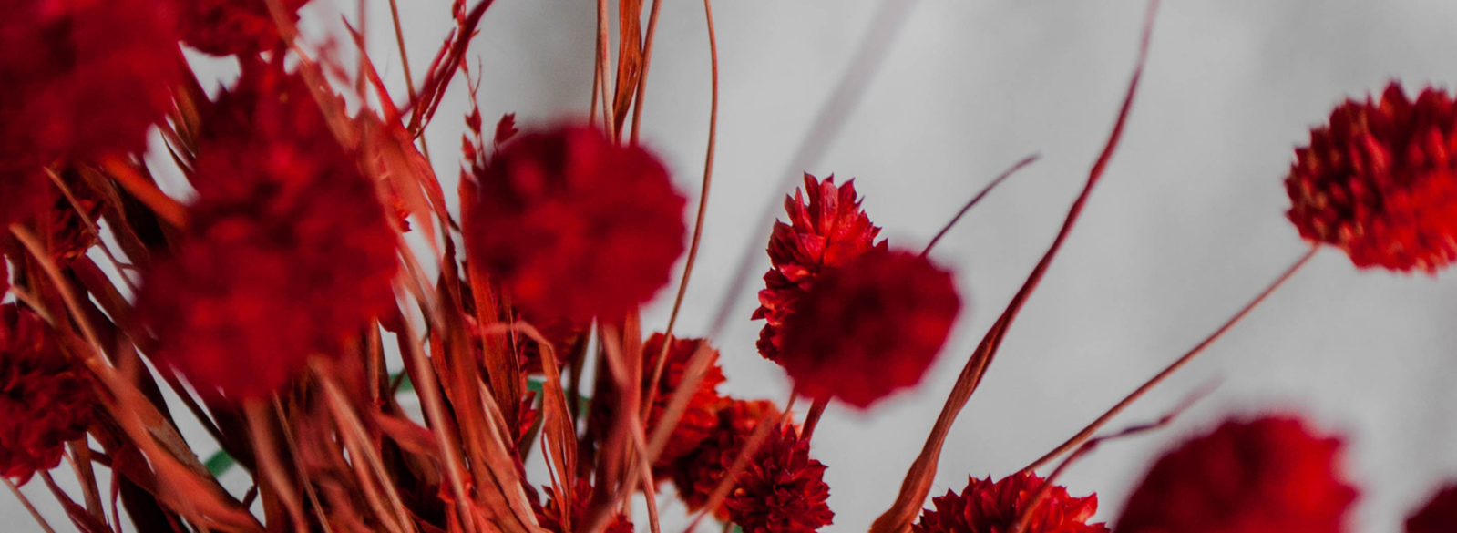 9c1dec6a-f32e-467c-8748-573da4962b6d-festive workshop  canterbury dried flower wreath making.png