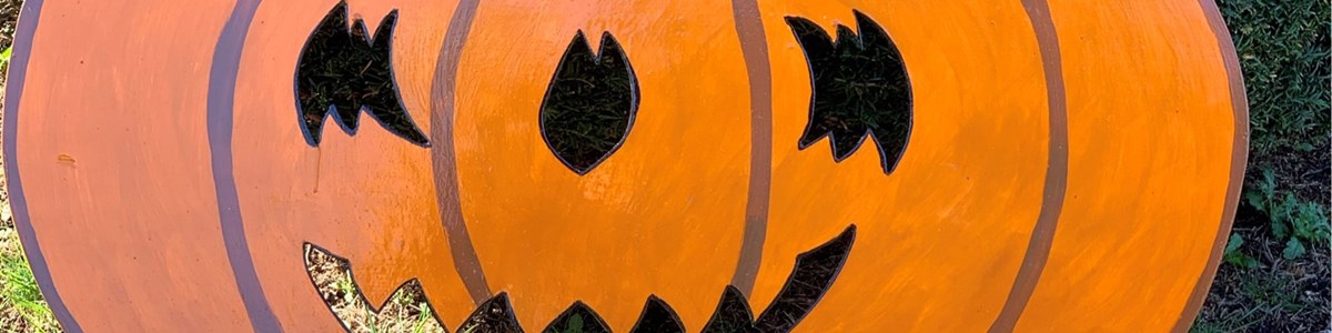 b02fa916-14b4-4b5a-b67c-fb4b138a295d-pumpkin trail.jpg