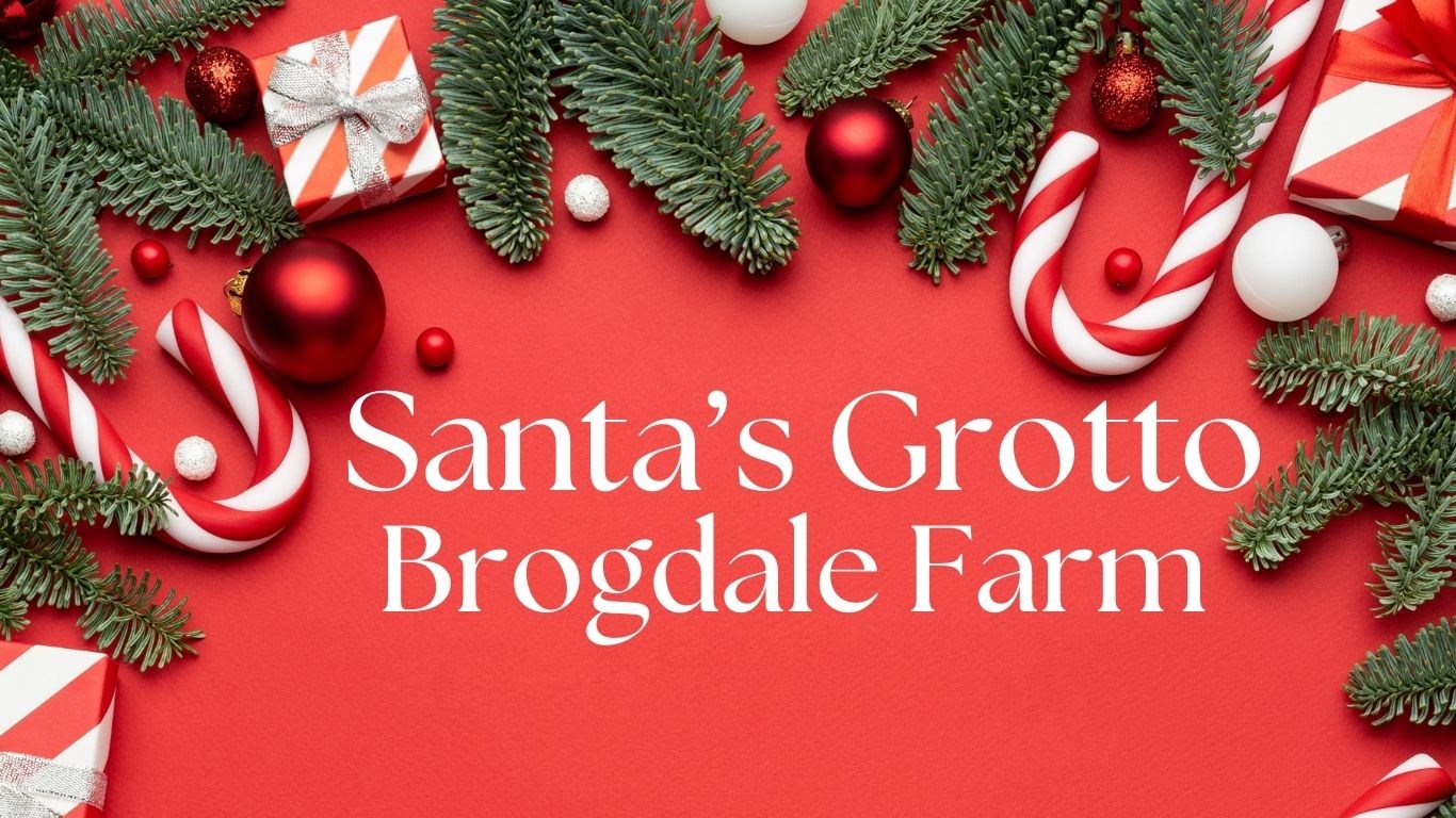 179ddd0b-74d9-4385-8f50-decae251d8a2-santa’s grotto (Website).jpg.jpg