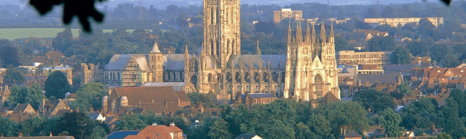 Cathedral city &trees crop.jpg