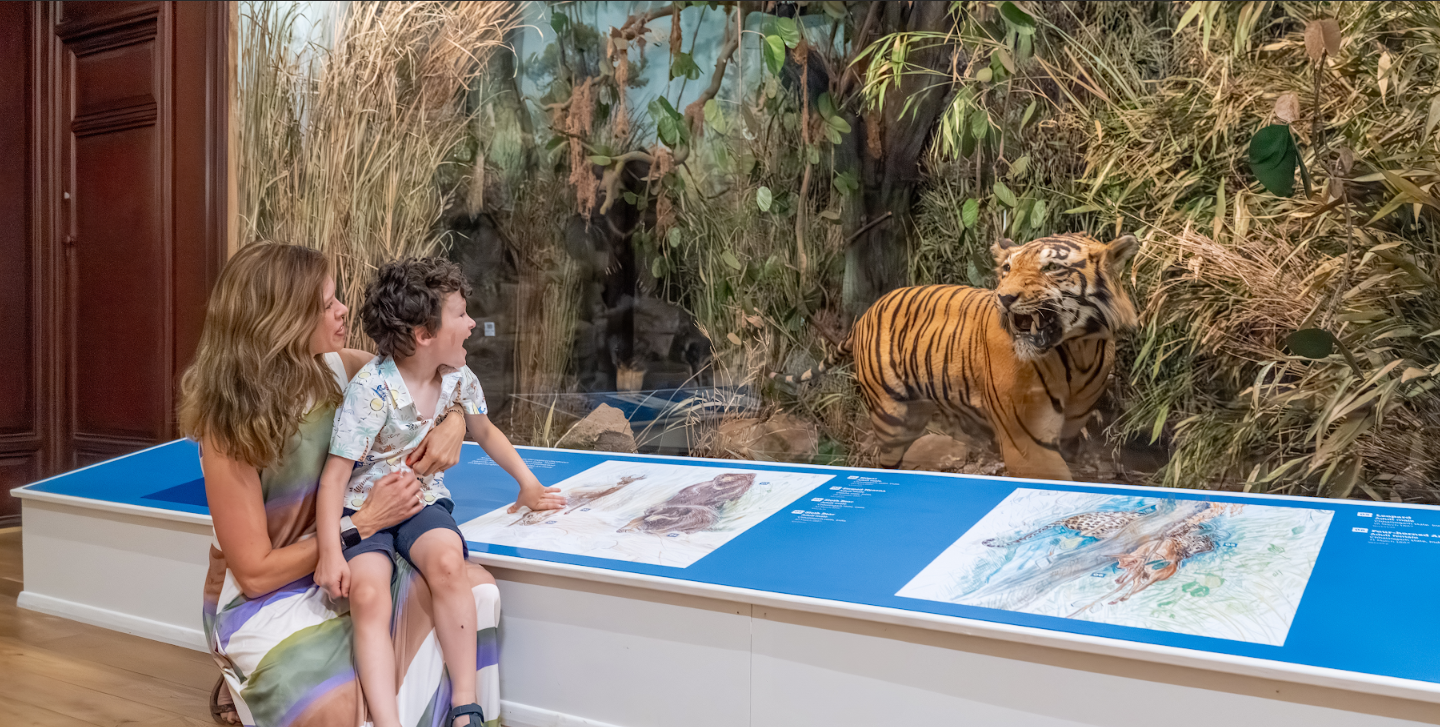 2025 6 Credit Spark Film Productions PCM Gallery Mum&Boy Tiger