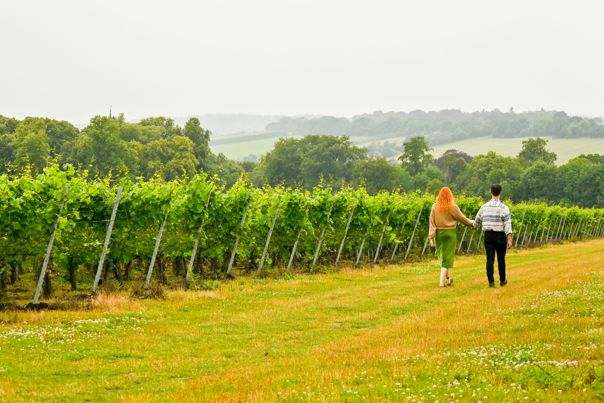 Homepage Gallery Image 1 Canterbury Vineyard