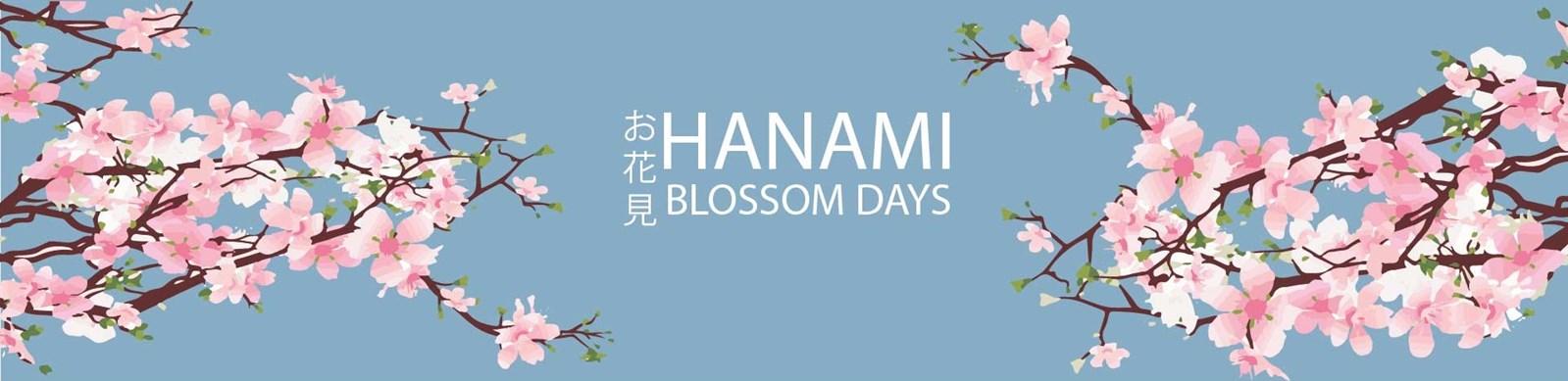 0f723b78-4264-41bf-8947-cbed0427d0f0-hanami festival banner.jpg