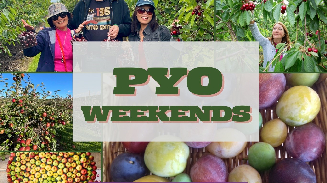 fed1a8f0-ae6f-4750-9de0-e4309743a6eb-PYO WEEKENDS (Website).jpg