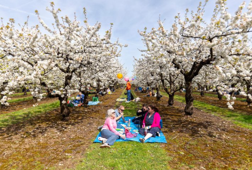 Screenshot 2026 01 27 093826