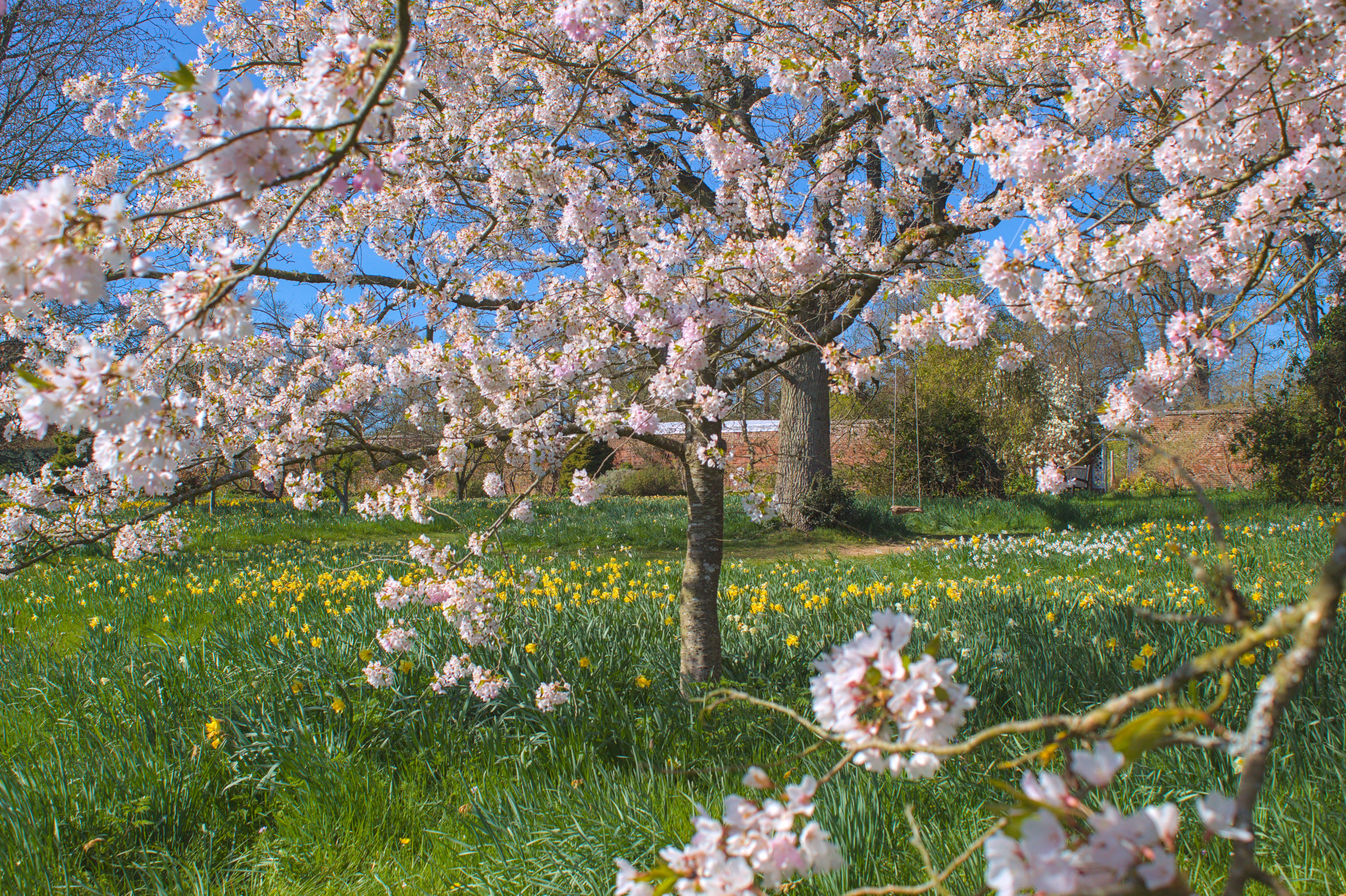 Godinton Swing Ollie Boughton