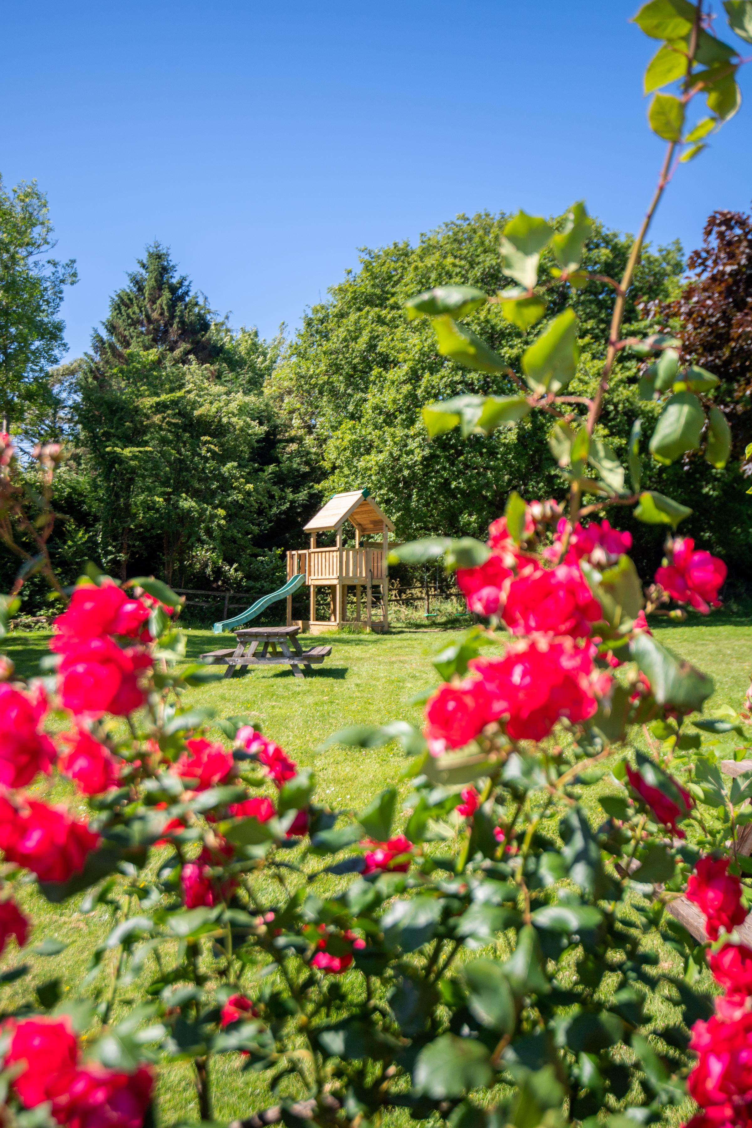 Play Equipment & Roses Low Res