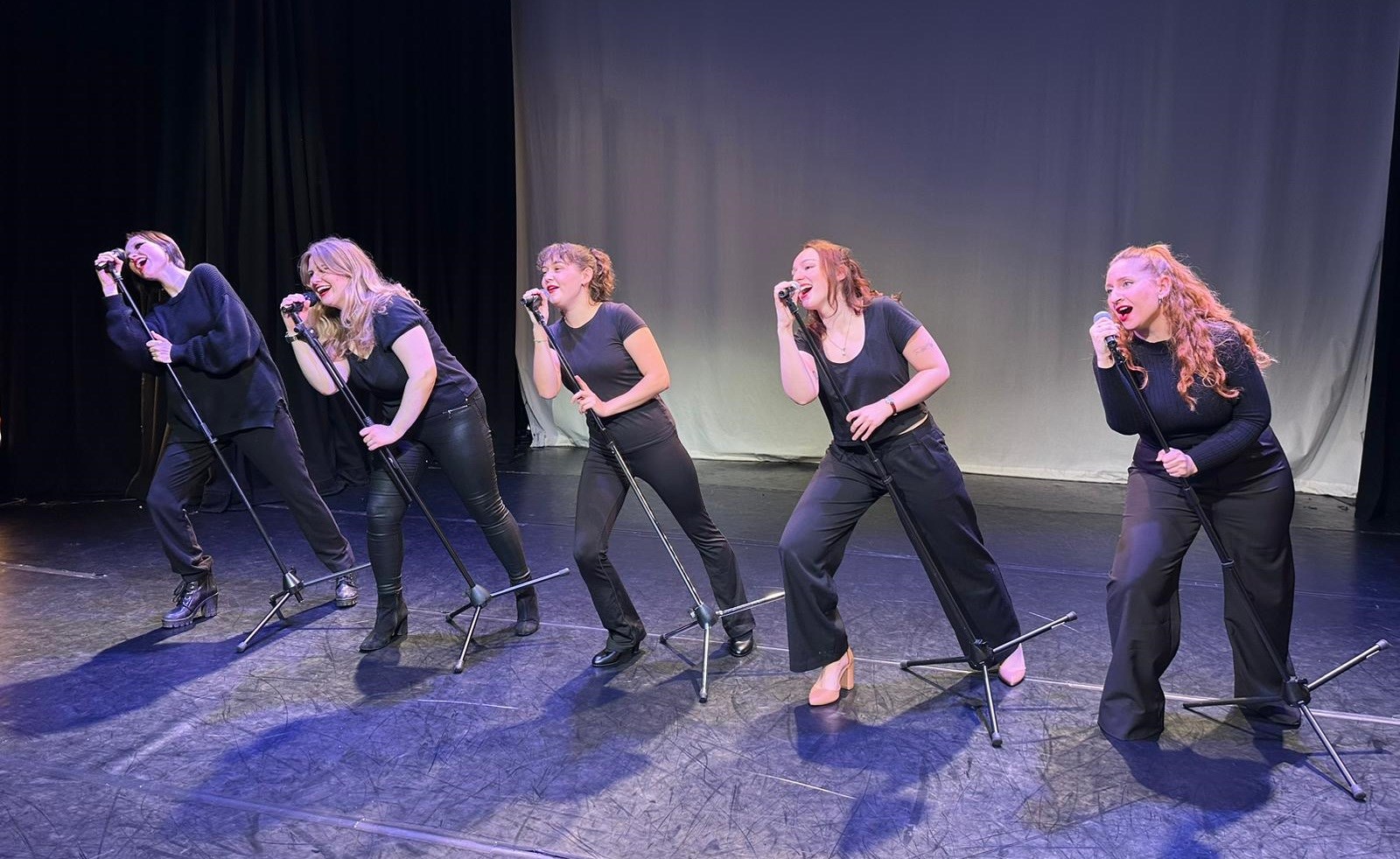 5b2a7c77-c196-4de8-a5c9-b65e8d08381a-musical theatre banner [1] [ORIG].jpg