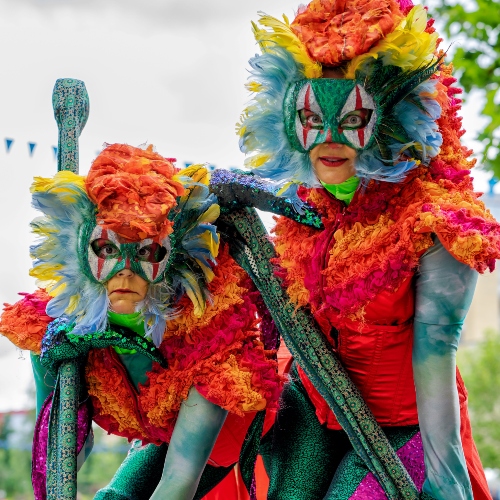 The Dragons Walkabout (Credit Sonja Stubbs) 500X500