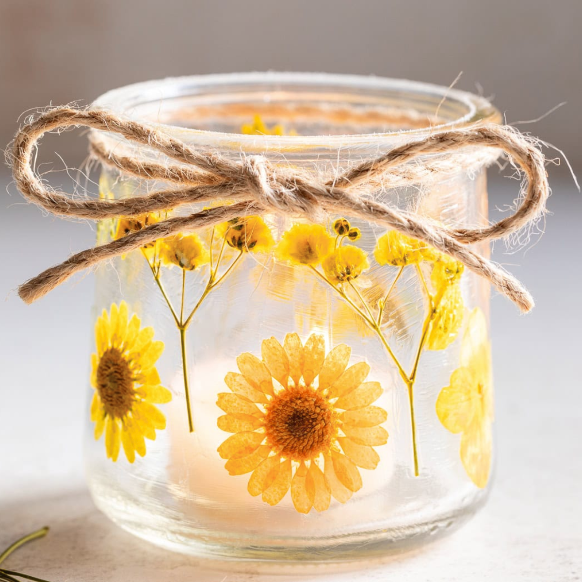 9de529e7-542a-4e65-9f67-401502aa4a5d-Midsummer lantern pressed flowers summer craft Canterbury.png