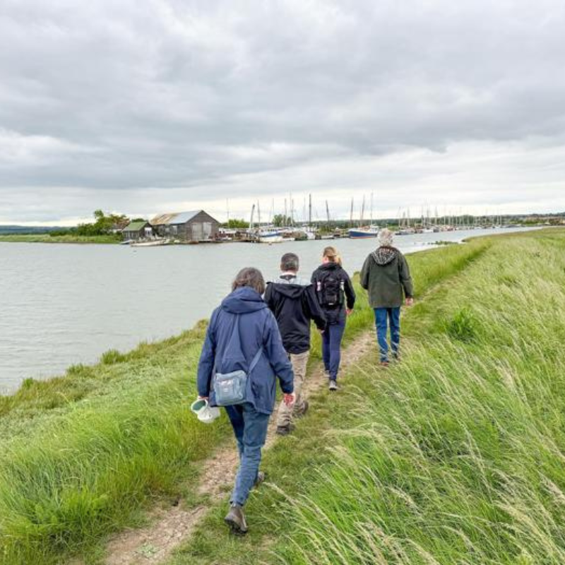 Group walking along the Saxon Shore Way