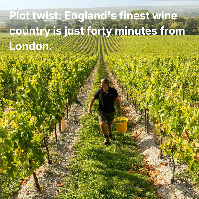Plot twist: England's finest wine country is just forty minutes from London.