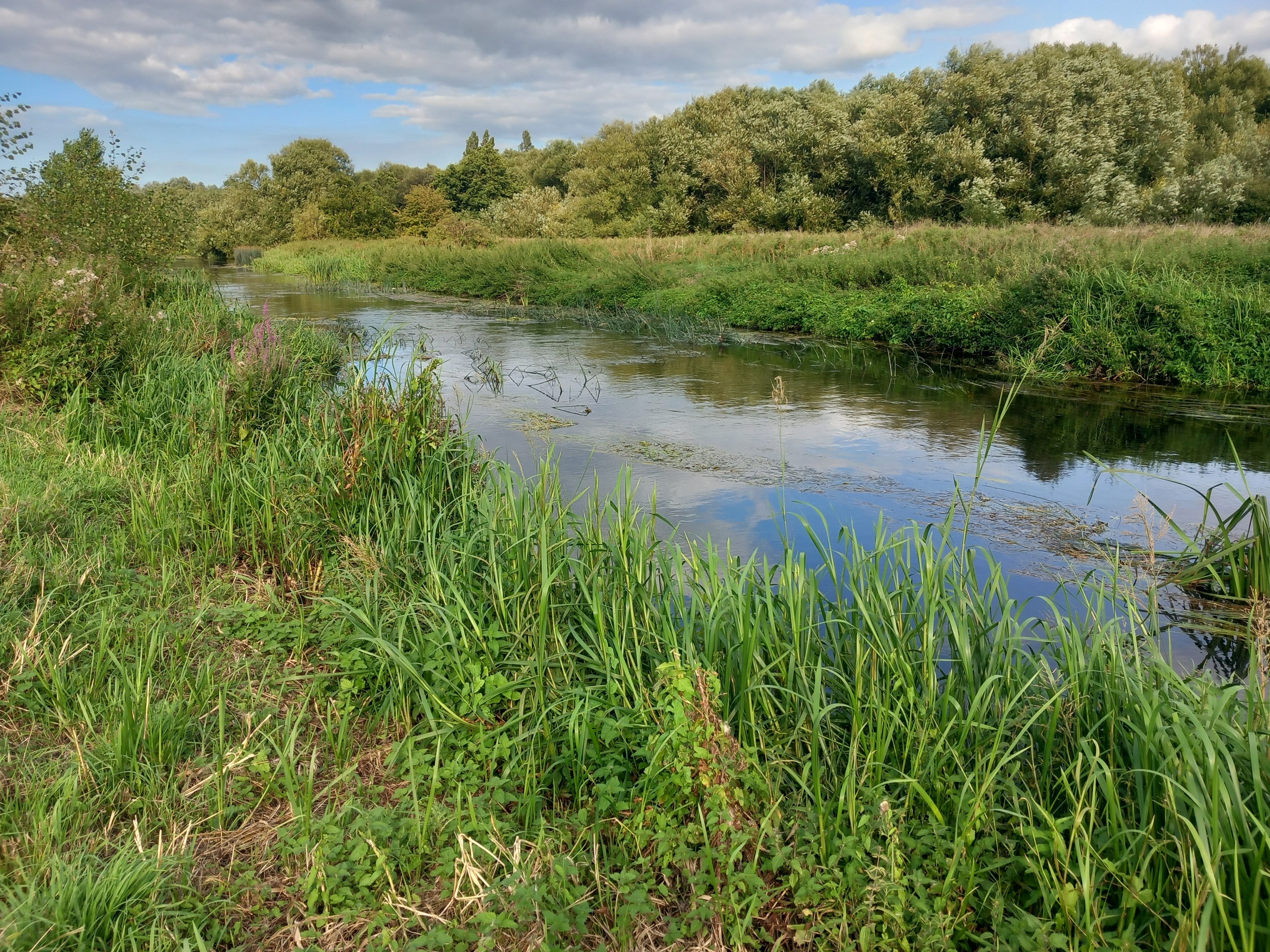 Looking Down River From Near Animal Seat 2