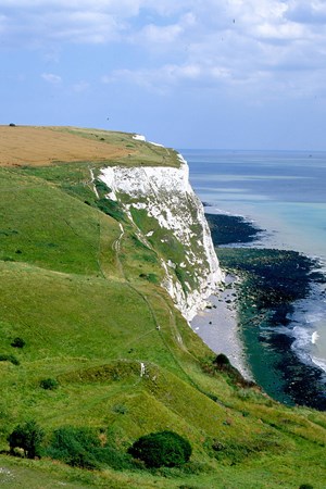 the-white-cliffs-8.jpg